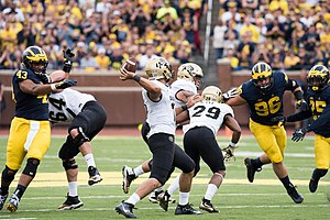 Colorado Buffaloes