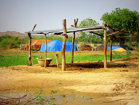 Tập_tin:Shed_for_Cattle.jpg