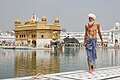 Vuoden 2009 kuva: Amritsarin kultainen temppeli Pohjois-Intiassa. Sikhipyhiinvaeltaja on juuri peseytynyt vesialtaassa. Kuvaajana Paulrudd.