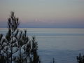 View to Ionian sea from pine-fringed beach.