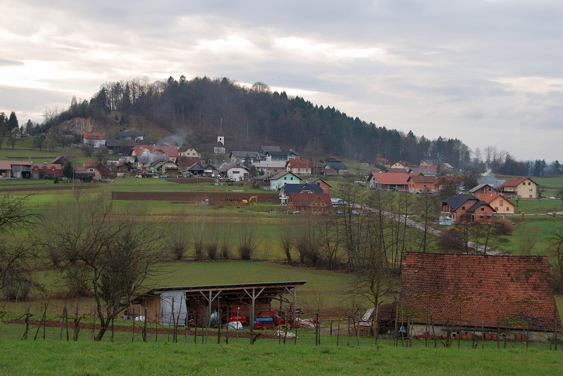 Carniola (regió eslovena)