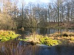 Sole Common Pond