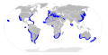 Range of the Smooth Hammerhead Shark (Sphyrna zygaena)