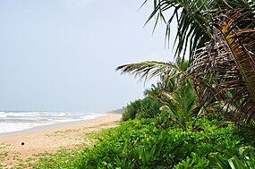 Praia de Bentota