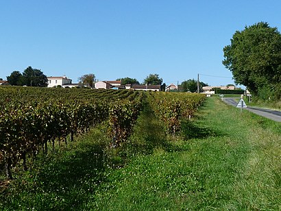 Comment aller à Saint-Ciers-de-Canesse en transport en commun - A propos de cet endroit