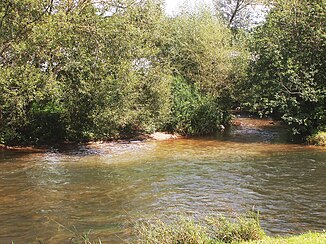 The Steinenbach flows into the meadow