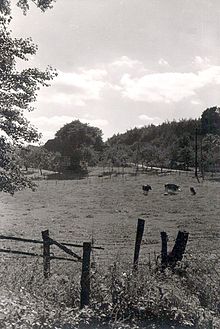 An der Pforte zur Oldendorfer Schweiz. Blick über Steinmanns Wiese zur Bergstraße (1957)