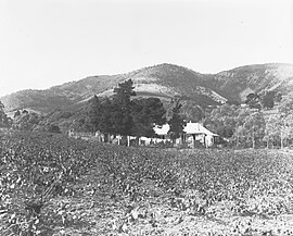 Stonyfell (GN11395).jpg