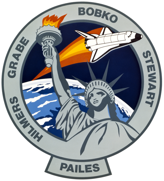 ملف:Sts-51-j-patch.png