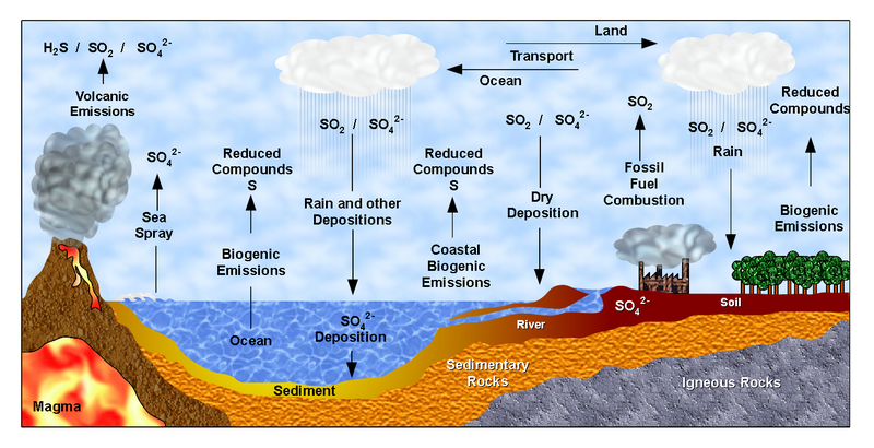 File:Sulfur Cycle (Ciclo do Enxofre).png