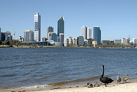 Swan River,Perth,Western Australia.jpg