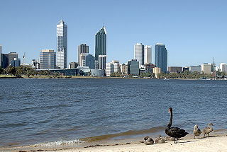 <span class="mw-page-title-main">Swan River (Western Australia)</span> River in Perth, Western Australia