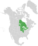 Map of North America with green shading. Data source Brouillet et.al., Flora of North America.[27]