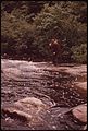 TROUT FISHERMAN CASTING ON TWITCHELL CREEK NEAR BIG MOOSE NEW YORK, IN THE ADIRONDACK FOREST PRESERVE - NARA - 554519.jpg