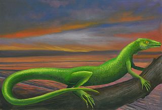 <span class="mw-page-title-main">Younginidae</span> Extinct family of reptiles