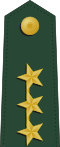 Taiwan-army-OF-9a.svg