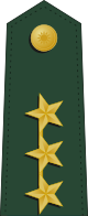 Тайвань-армия-OF-9a.svg 