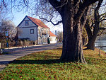 Teichmühle (Wernigerode)