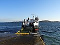 The Iona Ferry (45322657604).jpg