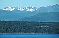 The Needles, Washington State.jpg