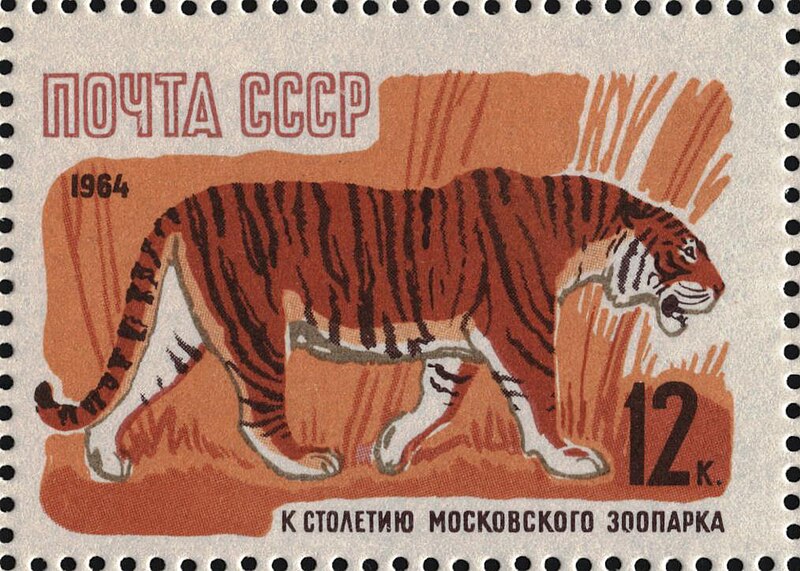 File:The Soviet Union 1964 CPA 3053 stamp (Centenary of Moscow Zoo. Siberian tiger or Amur tiger (Panthera tigris tigris)).jpg