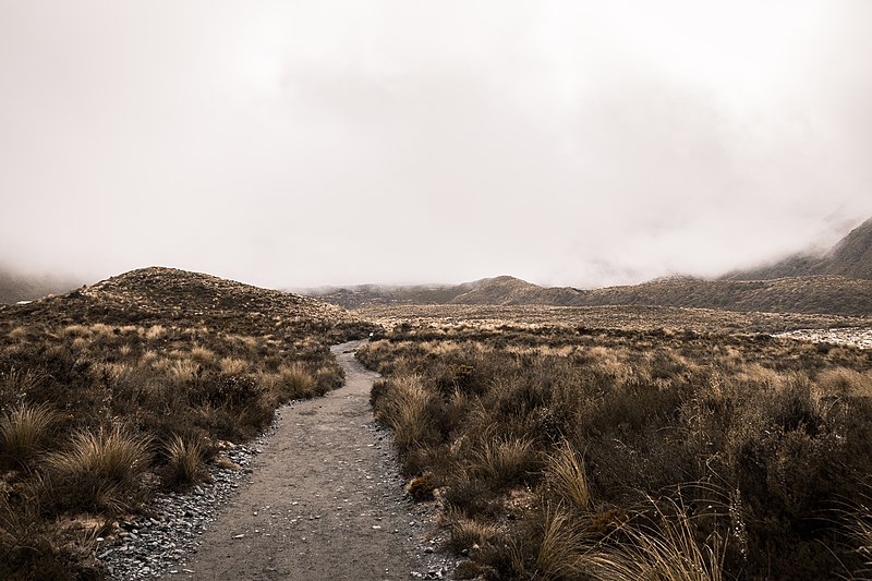 File:Tongariro Alpine Crossing, Tongariro National Park, New Zealand (Unsplash KI0g45putx8).jpg