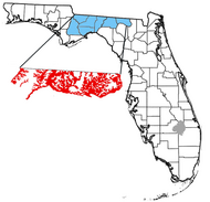 Location of the Torreya Formation in Florida in red. Torreya Formation map.png