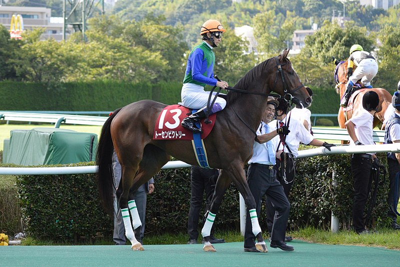 File:Tosen-victory Rose-Stakes 2015.jpg