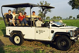 Turister på safari