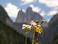 Dolomites: Localisaziun, La descurida dles Dolomites, La formaziun dles Dolomites