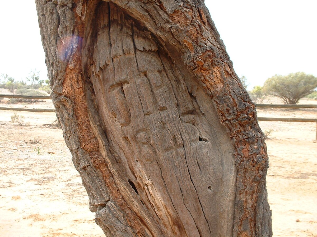 Tree filled. Дерево иск большое. "King of the Forest" Carved Tree Армения. Carved names on a Tree.