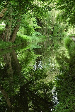 Trees reflected in the Monmouthshire and Brecon Canal - geograph.org.uk - 1317378