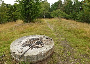 Ulriksdals Naturreservat: Beskrivning, Bilder, Se även