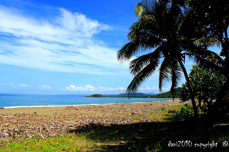 File:Un paisaje verdaderamente desastroso cuando bajamos la mirada a la playa - panoramio.jpg