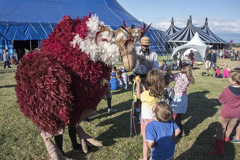 File:Underneath the Stars Festival, Cannon Hall Farm, Cawthorne (20055140776).jpg