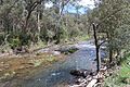 The upper Goulburn River in Victoria]]