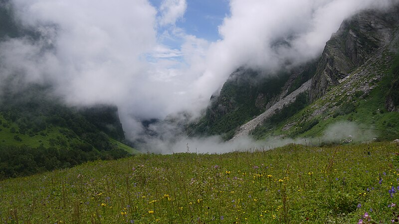 File:Valley of Flowers (7752924236).jpg