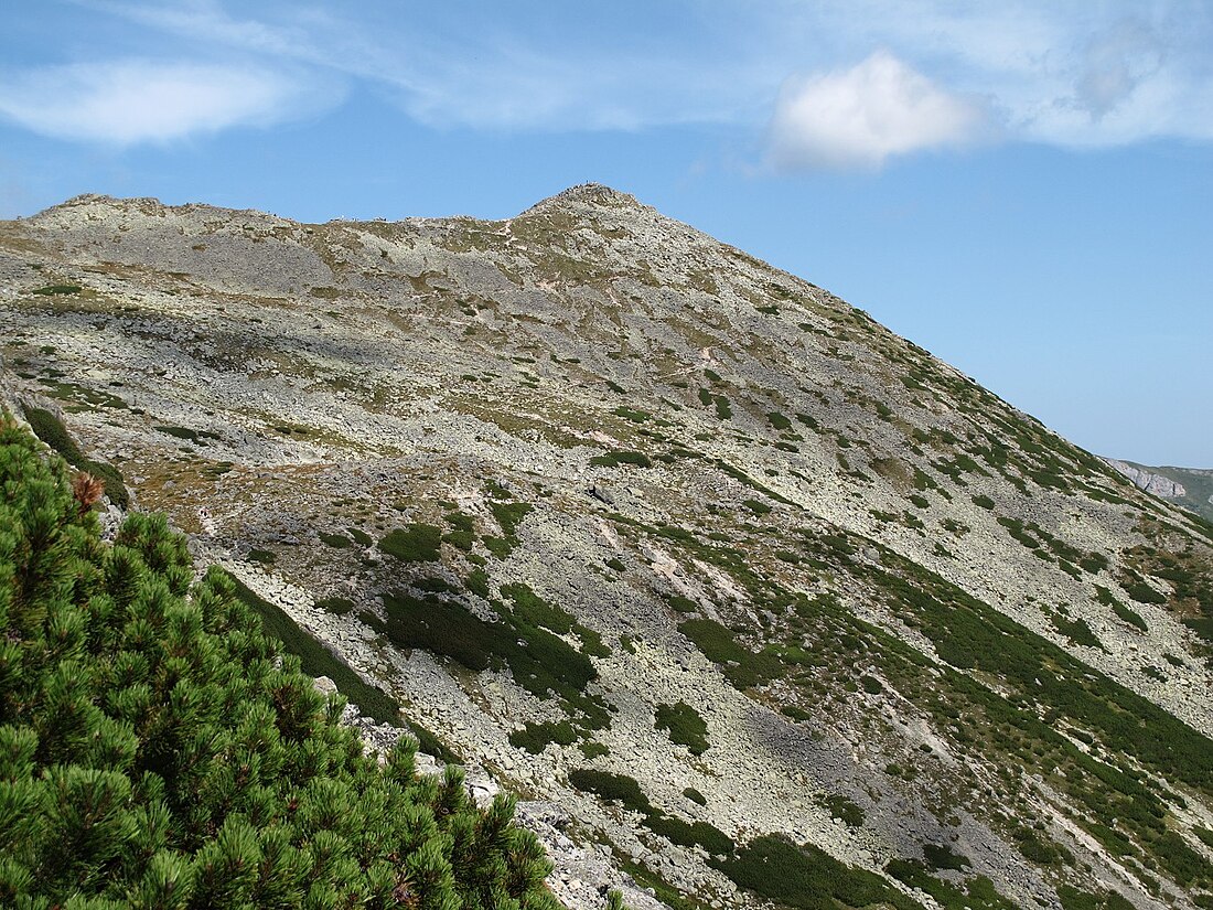 Veľká Svišťovka