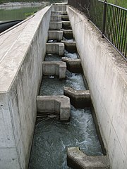 バーチカルスロット式魚道 （石川県鍋谷川北沖用水堰）