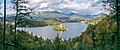 * Nomination View of the Bled Island in Bled, Upper Carniola, Slovenia. --Tournasol7 06:55, 2 March 2024 (UTC) * Promotion  Support Wow! --Plozessor 07:01, 2 March 2024 (UTC)