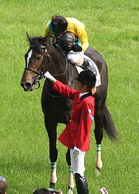 ウオッカ (競走馬) - Wikipedia