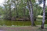 Vorschaubild für Wasserburg Rohr