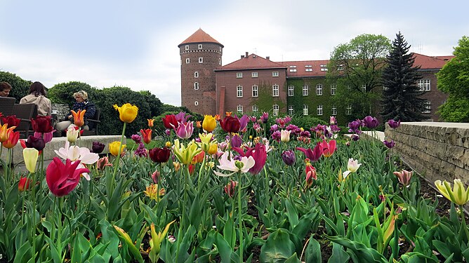 Wawel, Krakau, Polen