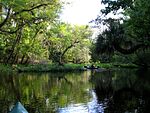 Wekiva River