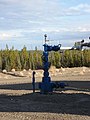 Wellhead with "Christmas tree" pipes and valves