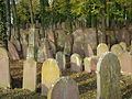 Vorschaubild für Jüdischer Friedhof Wiesloch