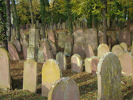 Wiesloch Jüdischer Friedhof 2012 63