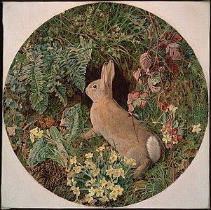 Rabbit amid Ferns and Flowering Plants, 1855