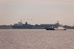 Wischhafen (Ship) 2011-by-RaBoe-03.jpg