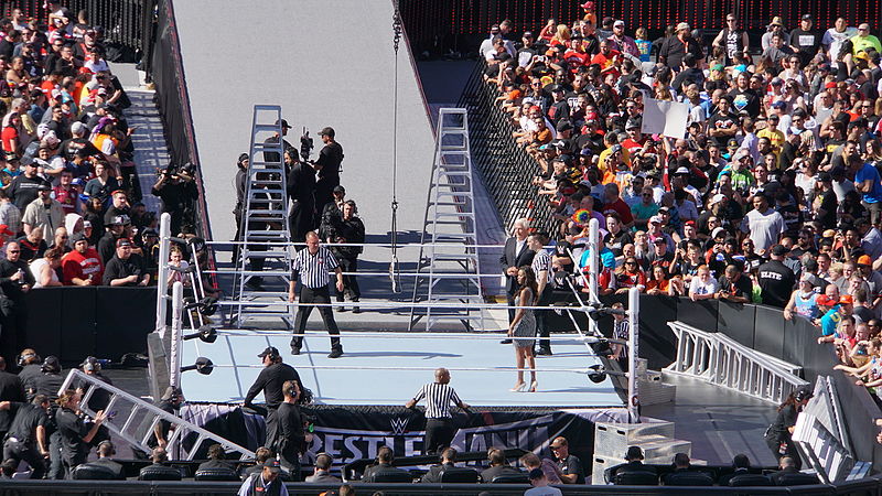 File:WrestleMania 31 2015-03-29 15-57-22 ILCE-6000 DSC06073 (17622142250).jpg